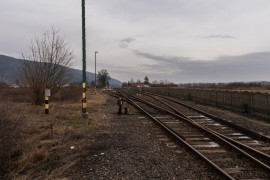 Thumbnail for 6503044