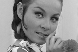 Thumbnail for 6551973