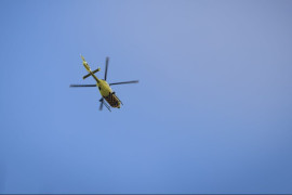 Thumbnail for 6564954