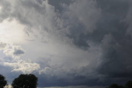 Thumbnail for 6608352