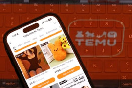 Thumbnail for 6630233