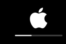 Thumbnail for 6647597