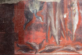 Thumbnail for 6663148