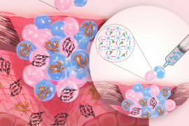 Thumbnail for 6711699