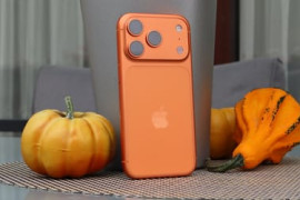 Thumbnail for 6751208