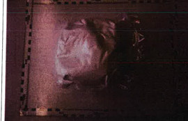 Thumbnail for 6756090