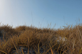Thumbnail for 6764520