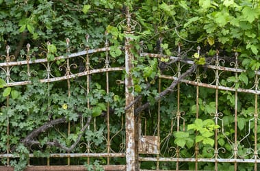 Thumbnail for 6765131