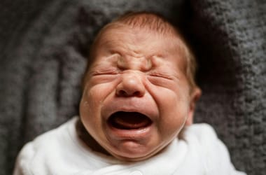 Thumbnail for 6765826