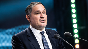 Thumbnail for 6767294