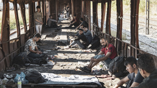 Thumbnail for 6768271