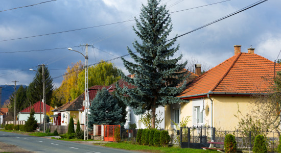 Thumbnail for 6769153