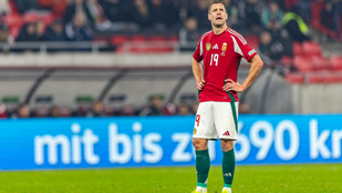 Thumbnail for 6771209