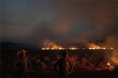 Thumbnail for 6772753