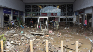 Thumbnail for 6773223