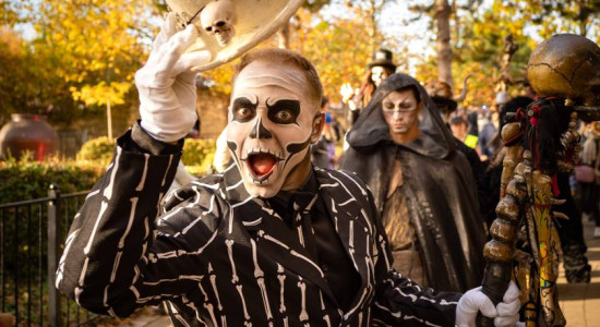 Thumbnail for 6774201