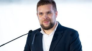 Thumbnail for 6775942