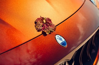 Thumbnail for 6777982