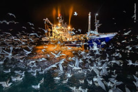 Thumbnail for 6778330