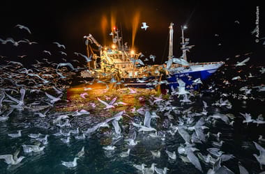 Thumbnail for 6778330