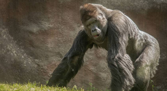 Thumbnail for 6778724