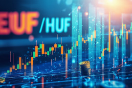 Thumbnail for 6779573