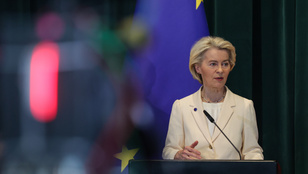 Thumbnail for 6779602