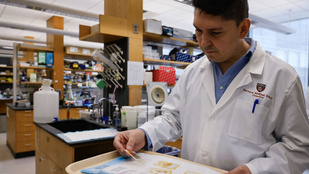 Thumbnail for 6779698