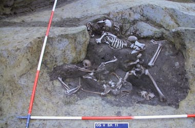 Thumbnail for 6780549