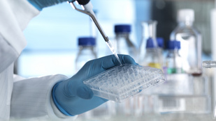 Thumbnail for 6780651