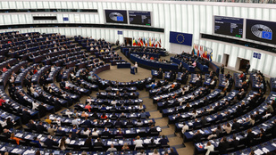 Thumbnail for 6781023