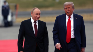 Thumbnail for 6781064