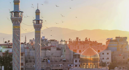 Thumbnail for 6781472