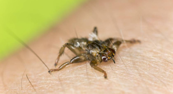 Thumbnail for 6781836