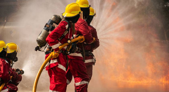 Thumbnail for 6781969