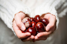 Thumbnail for 6781978