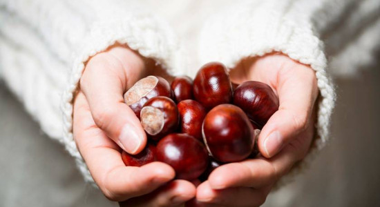 Thumbnail for 6781978