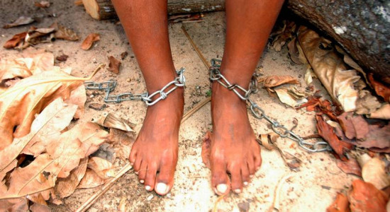 Thumbnail for 6782042