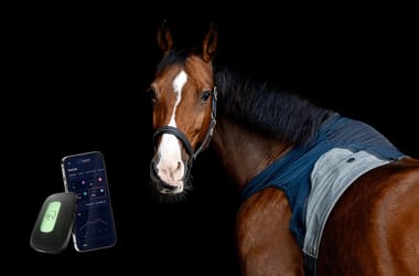 Thumbnail for 6782110