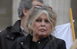 Thumbnail for 6782225