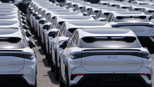 Thumbnail for 6782432