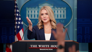 Thumbnail for 6782437