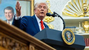 Thumbnail for 6782443