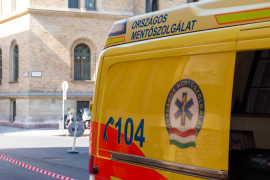 Thumbnail for 6782445