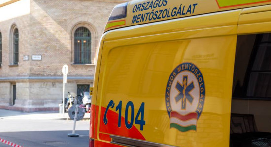 Thumbnail for 6782445