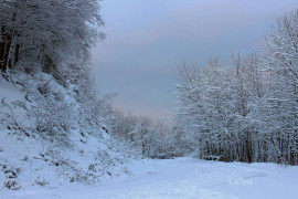 Thumbnail for 6782523