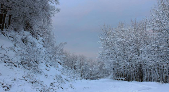 Thumbnail for 6782523