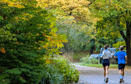 Thumbnail for 6783005