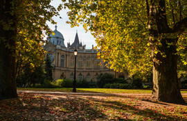 Thumbnail for 6784278