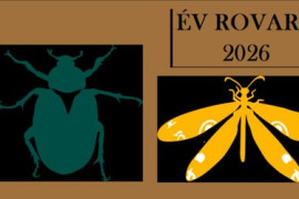 Thumbnail for 6784494